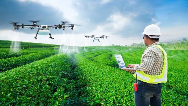 Jurusan Agroteknologi: Menggali Potensi Pertanian Modern