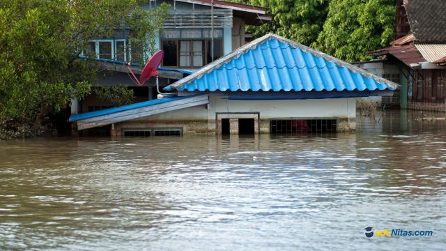 Kolaborasi Antardisiplin Ilmu dalam Menangani Bencana Banjir