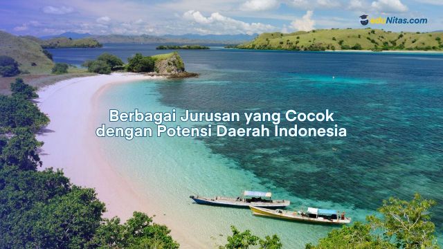 Jurusan dengan Peluang Kerja Menjanjikan Sesuai Potensi Daer